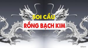 Soi cầu rồng bạch kim ngày 22/11/2023