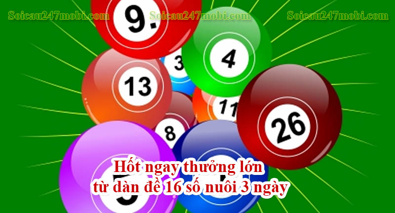 Hốt ngay thưởng lớn từ dàn đề 16 số nuôi 3 ngày