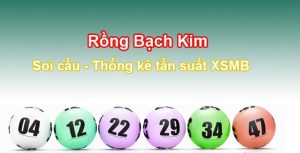 Soi cầu rồng bạch kim ngày 08/09/2024