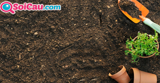 Ngủ mơ thấy đất đánh đề con gì? Ngủ mơ thấy đất đánh đề con gì?