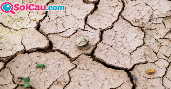 Thông điệp giấc mơ thấy đất Thông điệp giấc mơ thấy đất